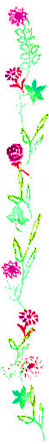 rflwrdiv.gif
